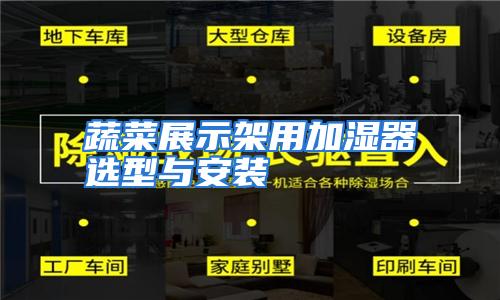 蔬菜展示架用加湿器选型与安装