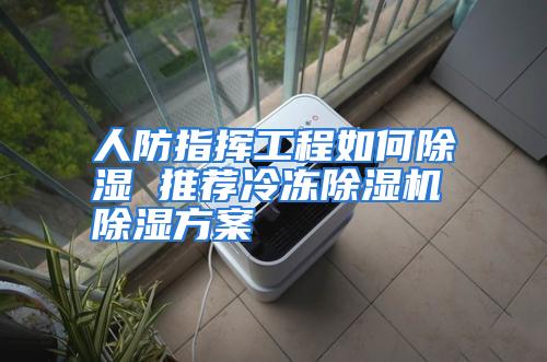 人防指挥工程如何除湿 推荐冷冻除湿机除湿方案