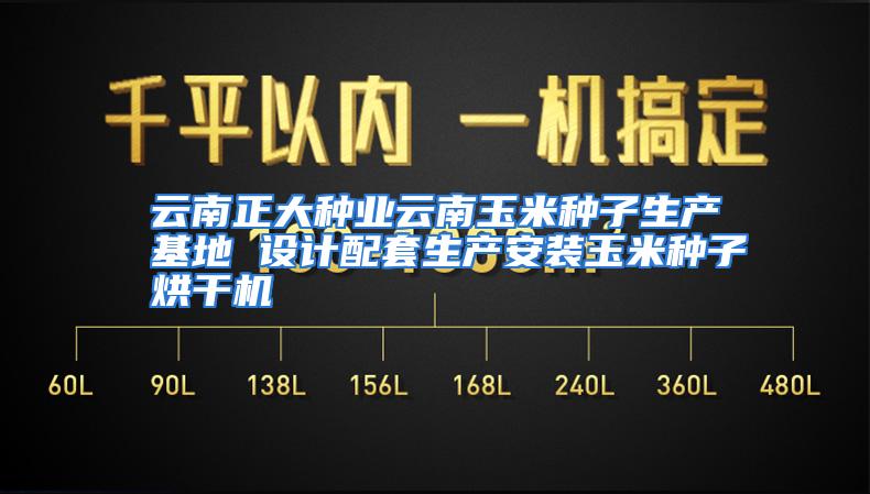 云南正大种业云南玉米种子生产基地 设计配套生产安装玉米种子烘干机