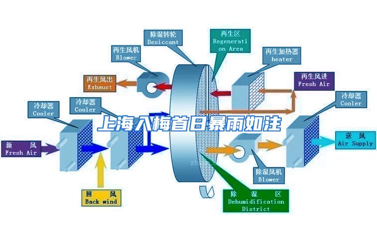 上海入梅首日暴雨如注