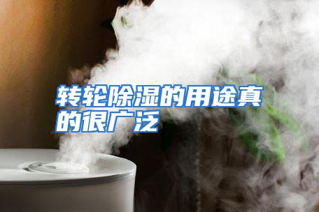 转轮除湿的用途真的很广泛