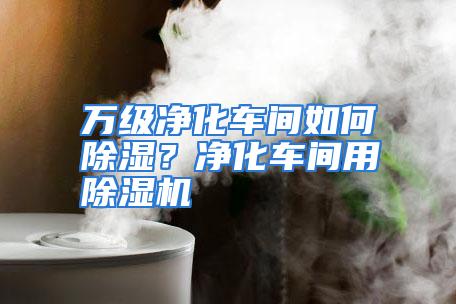 万级净化车间如何除湿？净化车间用除湿机