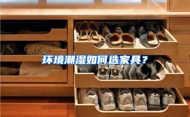 环境潮湿如何选家具？