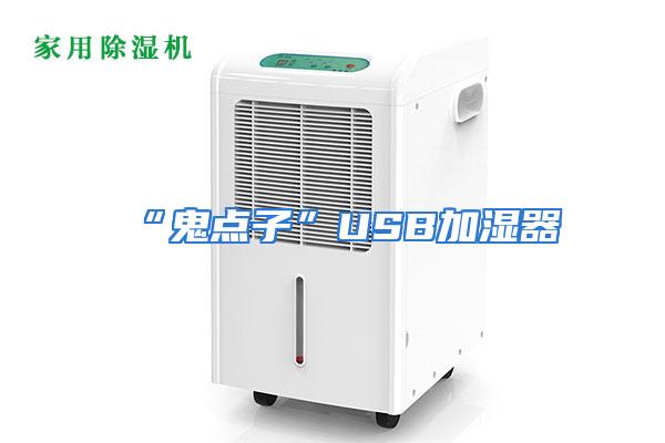 “鬼点子”USB加湿器