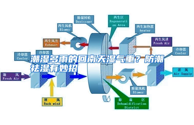 潮湿多雨的回南天湿气重？防潮祛湿有妙招