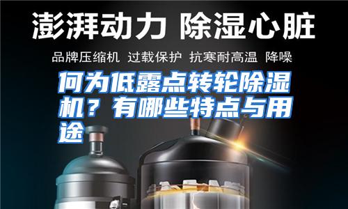 何为低露点转轮除湿机？有哪些特点与用途