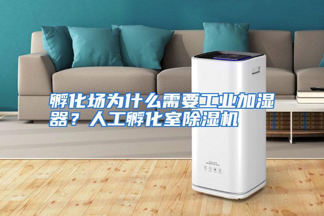 孵化场为什么需要工业加湿器？人工孵化室除湿机