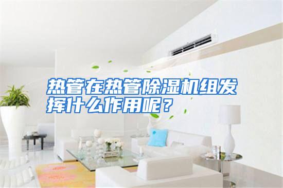 热管在热管除湿机组发挥什么作用呢？