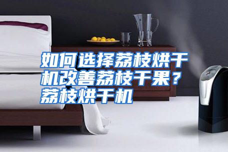 如何选择荔枝烘干机改善荔枝干果？ 荔枝烘干机