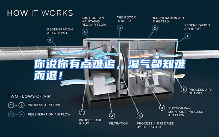 你说你有点难追，湿气都知难而退！