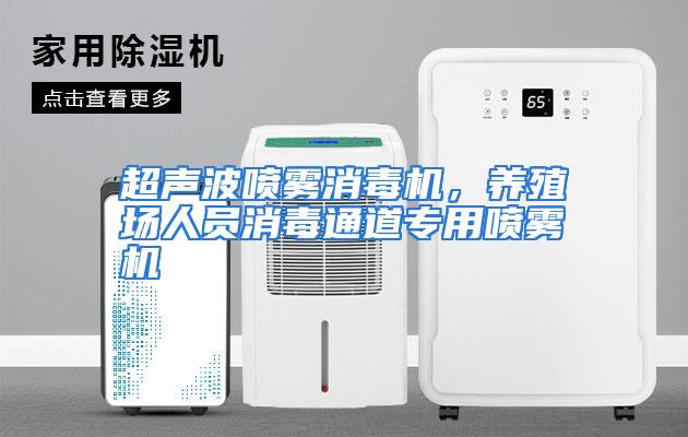 超声波喷雾消毒机，养殖场人员消毒通道专用喷雾机