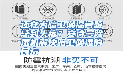 还在为暗卫潮湿问题感到头疼？安诗曼除湿机解决暗卫潮湿的良方