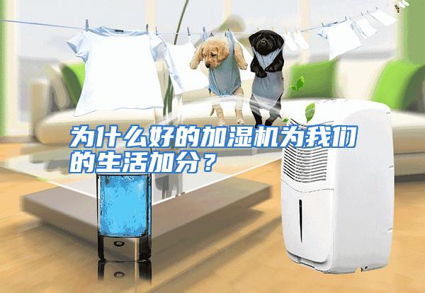 为什么好的加湿机为我们的生活加分？