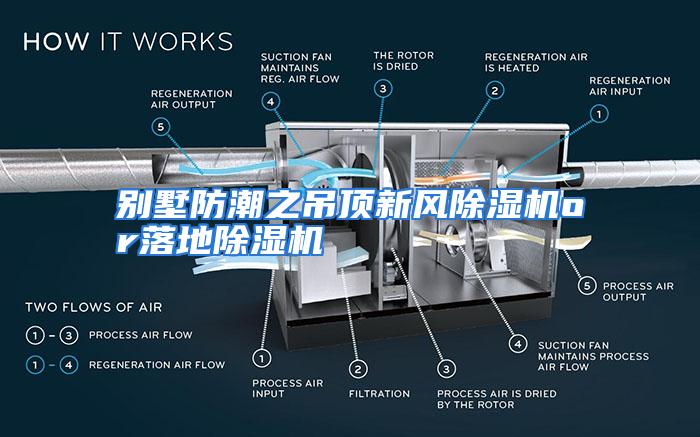 别墅防潮之吊顶新风除湿机or落地除湿机