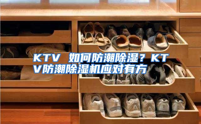 KTV 如何防潮除湿？KTV防潮除湿机应对有方