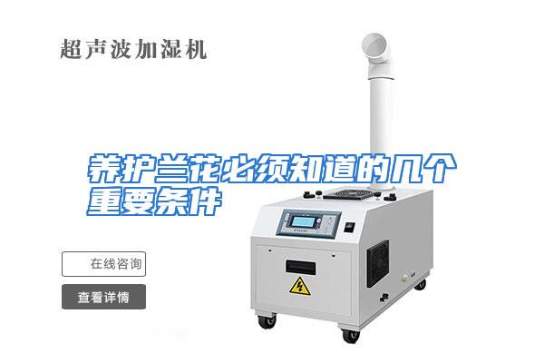 养护兰花必须知道的几个重要条件