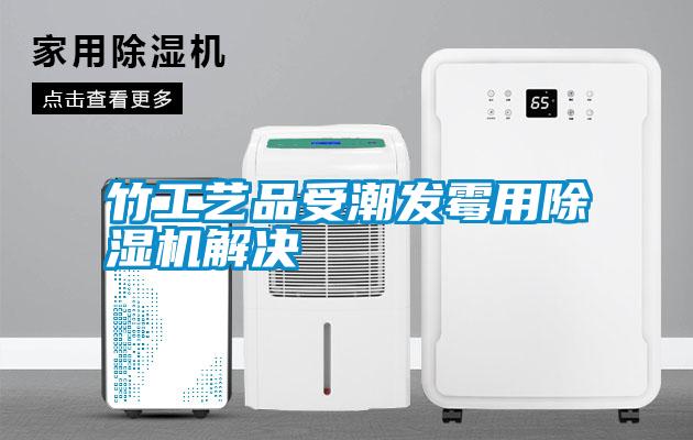 竹工艺品受潮发霉用除湿机解决