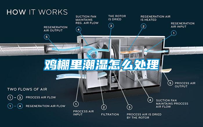 鸡棚里潮湿怎么处理