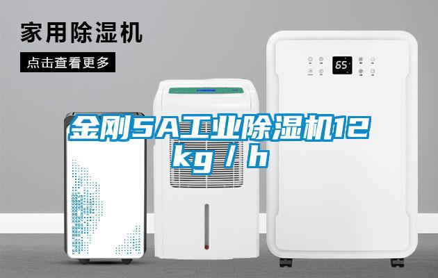 金刚5A工业除湿机12kg／h