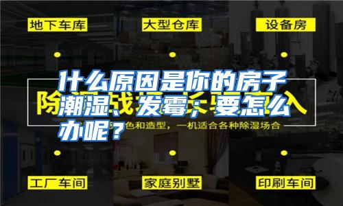 什么原因是你的房子潮湿、发霉；要怎么办呢？