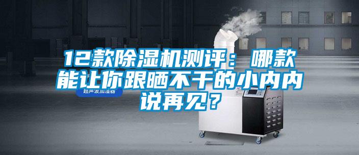 12款除湿机测评：哪款能让你跟晒不干的小内内说再见？