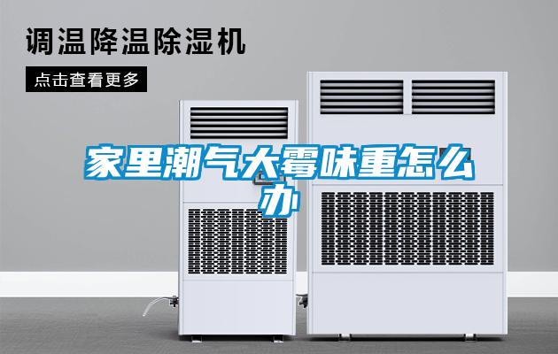 家里潮气大霉味重怎么办