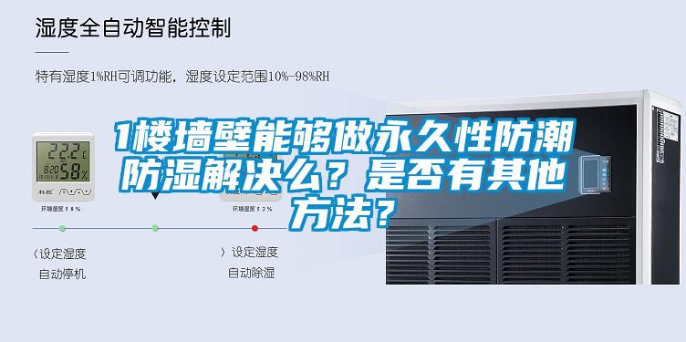 1楼墙壁能够做永久性防潮防湿解决么？是否有其他方法？