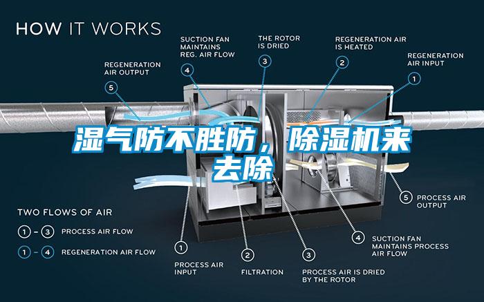 湿气防不胜防，除湿机来去除