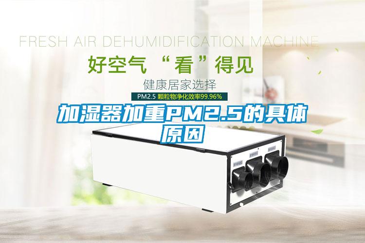 加湿器加重PM2.5的具体原因