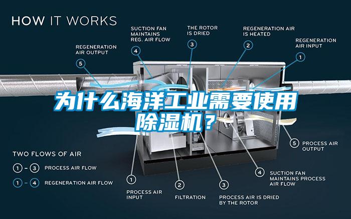 为什么海洋工业需要使用除湿机？