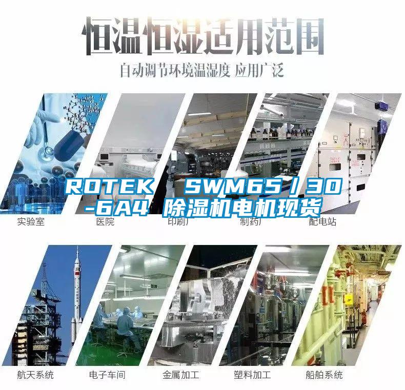 ROTEK  SWM65／30-6A4 除湿机电机现货