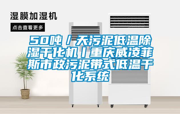 50吨／天污泥低温除湿干化机丨重庆威凌菲斯市政污泥带式低温干化系统