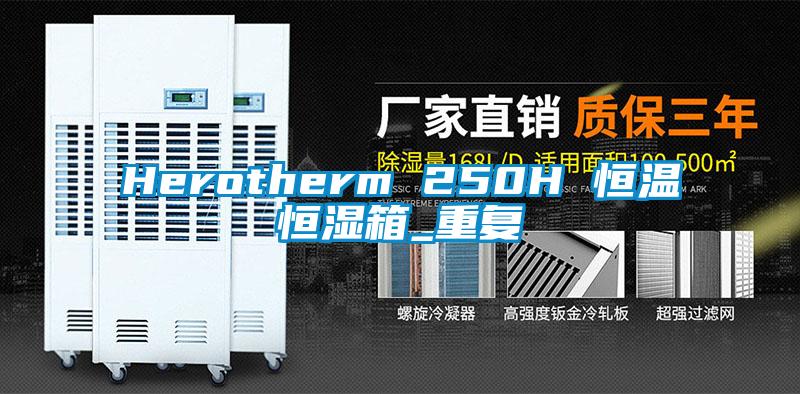 Herotherm 250H 恒温恒湿箱_重复