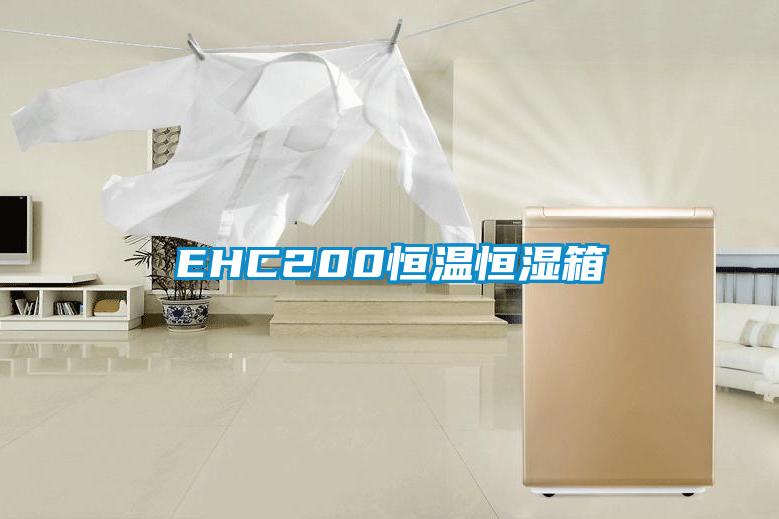 EHC200恒温恒湿箱