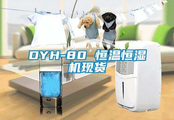 DYH-80 恒温恒湿机现货