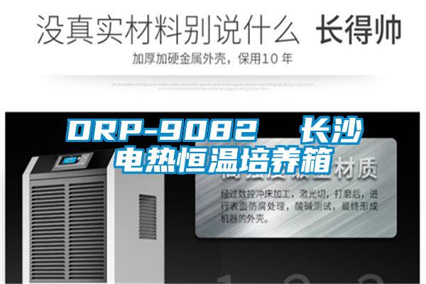 DRP-9082  长沙 电热恒温培养箱