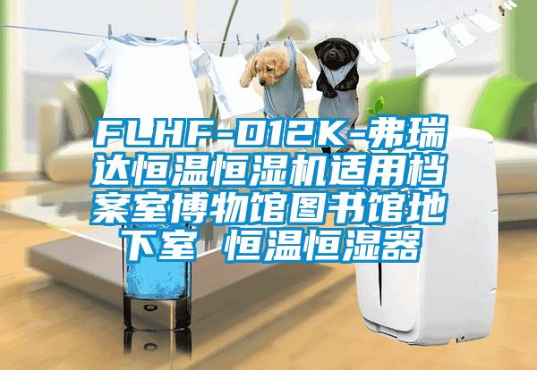 FLHF-D12K-弗瑞达恒温恒湿机适用档案室博物馆图书馆地下室 恒温恒湿器