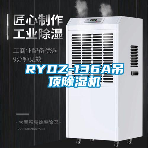 RYDZ-136A吊顶除湿机