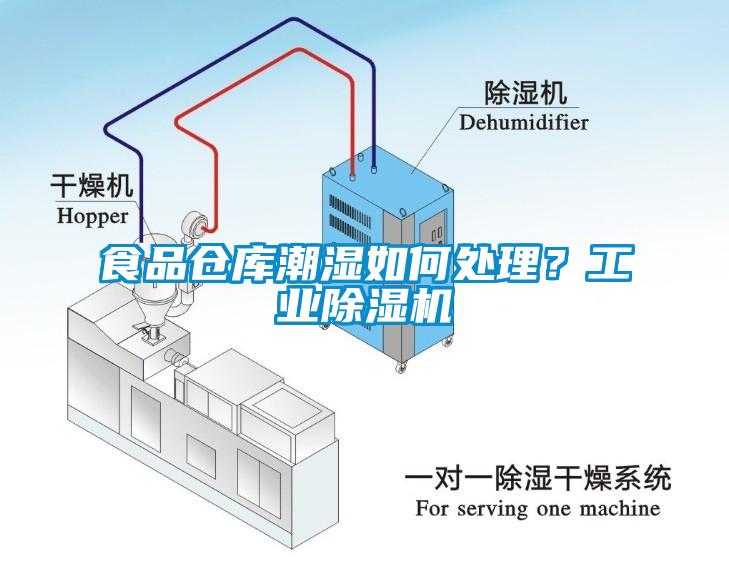 食品仓库潮湿如何处理？工业除湿机