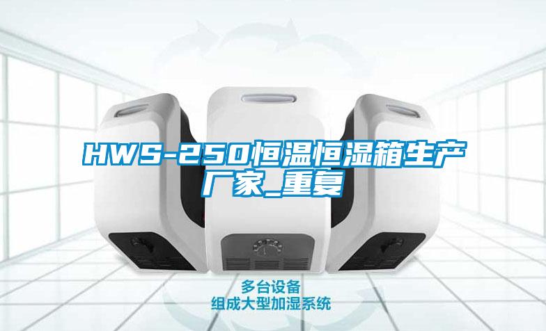 HWS-250恒温恒湿箱生产厂家_重复