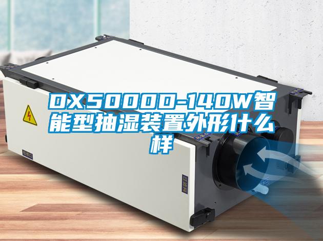 DX5000D-140W智能型抽湿装置外形什么样