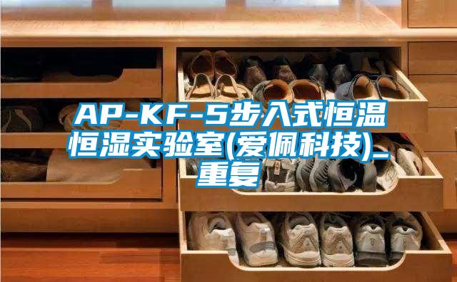 AP-KF-5步入式恒温恒湿实验室(爱佩科技)_重复