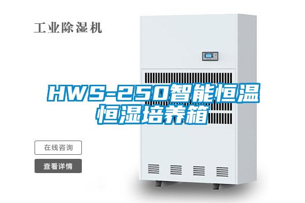 HWS-250智能恒温恒湿培养箱