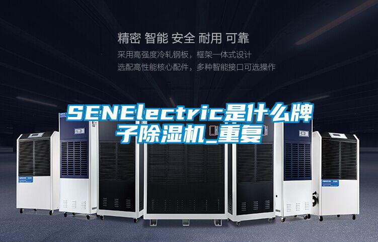 SENElectric是什么牌子除湿机_重复