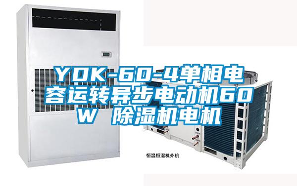 YDK-60-4单相电容运转异步电动机60W 除湿机电机