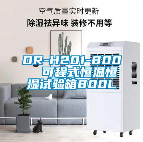 DR-H201-800  可程式恒温恒湿试验箱800L