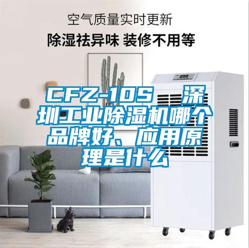 CFZ-10S  深圳工业除湿机哪个品牌好、应用原理是什么