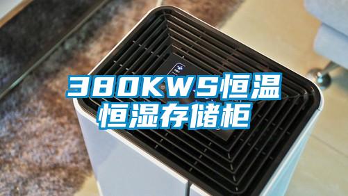 380KWS恒温恒湿存储柜