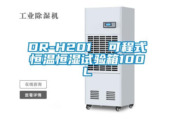 DR-H201  可程式恒温恒湿试验箱100L