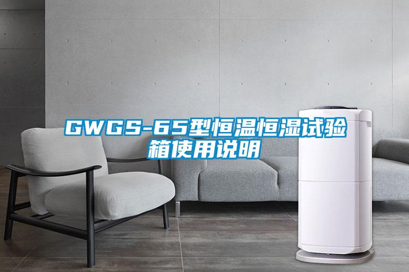 GWGS-65型恒温恒湿试验箱使用说明